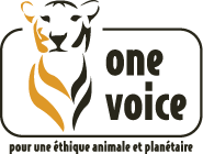 Logo One Voice, partenaire 2023 du Concours du Lobbying
